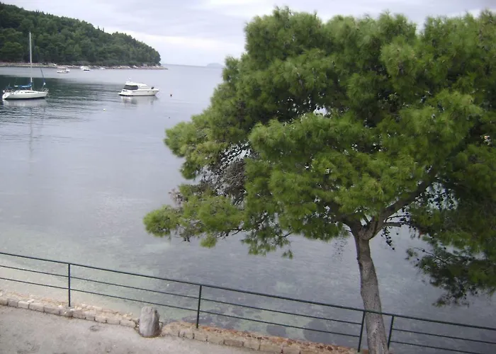 Apartment Andriuci Cavtat