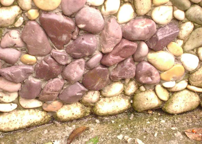 Apartment Andriuci *