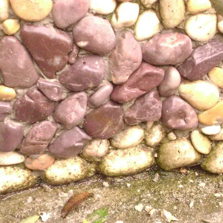 Apartman Andriuci *