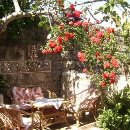Apartman Andriuci